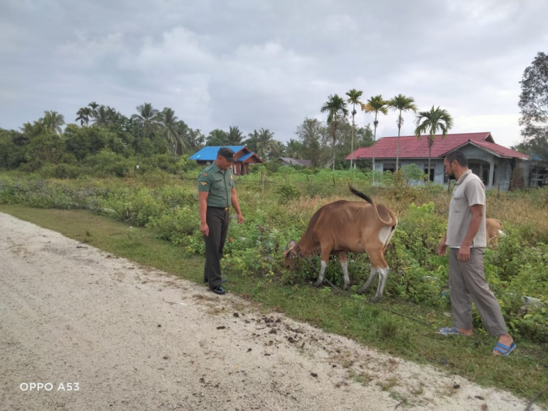 Serda Ansari Harap Peternak Perhatikan Ini