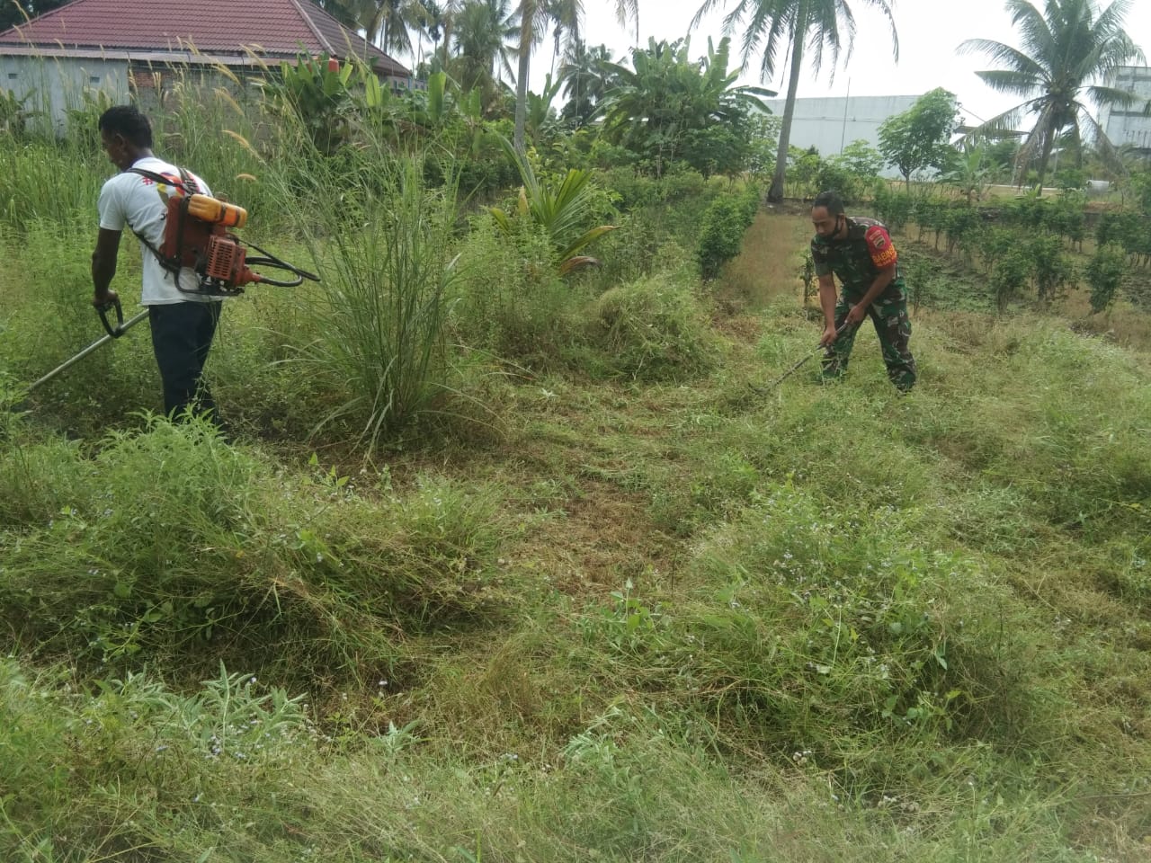 Kopda Andri Waluyo Laksanakan Giat Pencegahan Karhutla dan Bersihkan Lahan