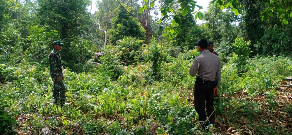 Pelaksanaan Pencegahan Karhutla Oleh Koramil 06 Merbau