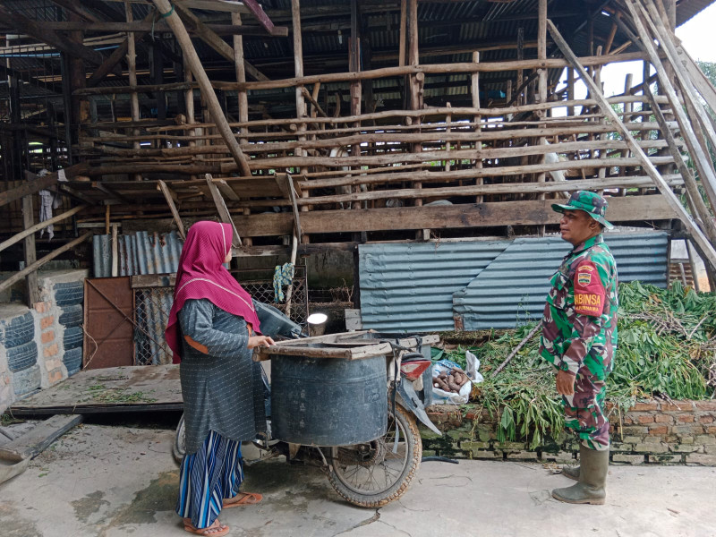 Babinsa Purnama Cek Kesehatan Hewan Ternak