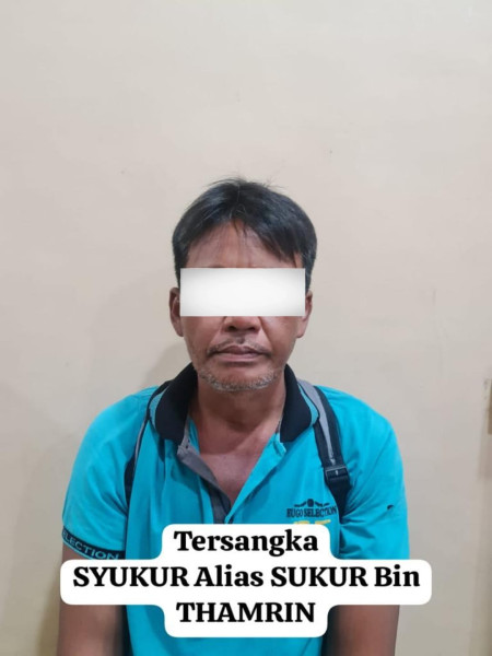 Polres Rohil dan Bea Cukai Pusat Berhasil Ungkap Kasus TPPO  Beserta Ribuan Batang Kayu Bakau Ikut Diamankan