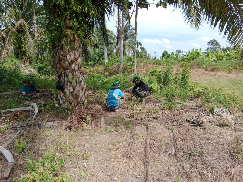 TMMD ke 117, Pelaksanaan Renovasi RTLH Terus Dilakukan