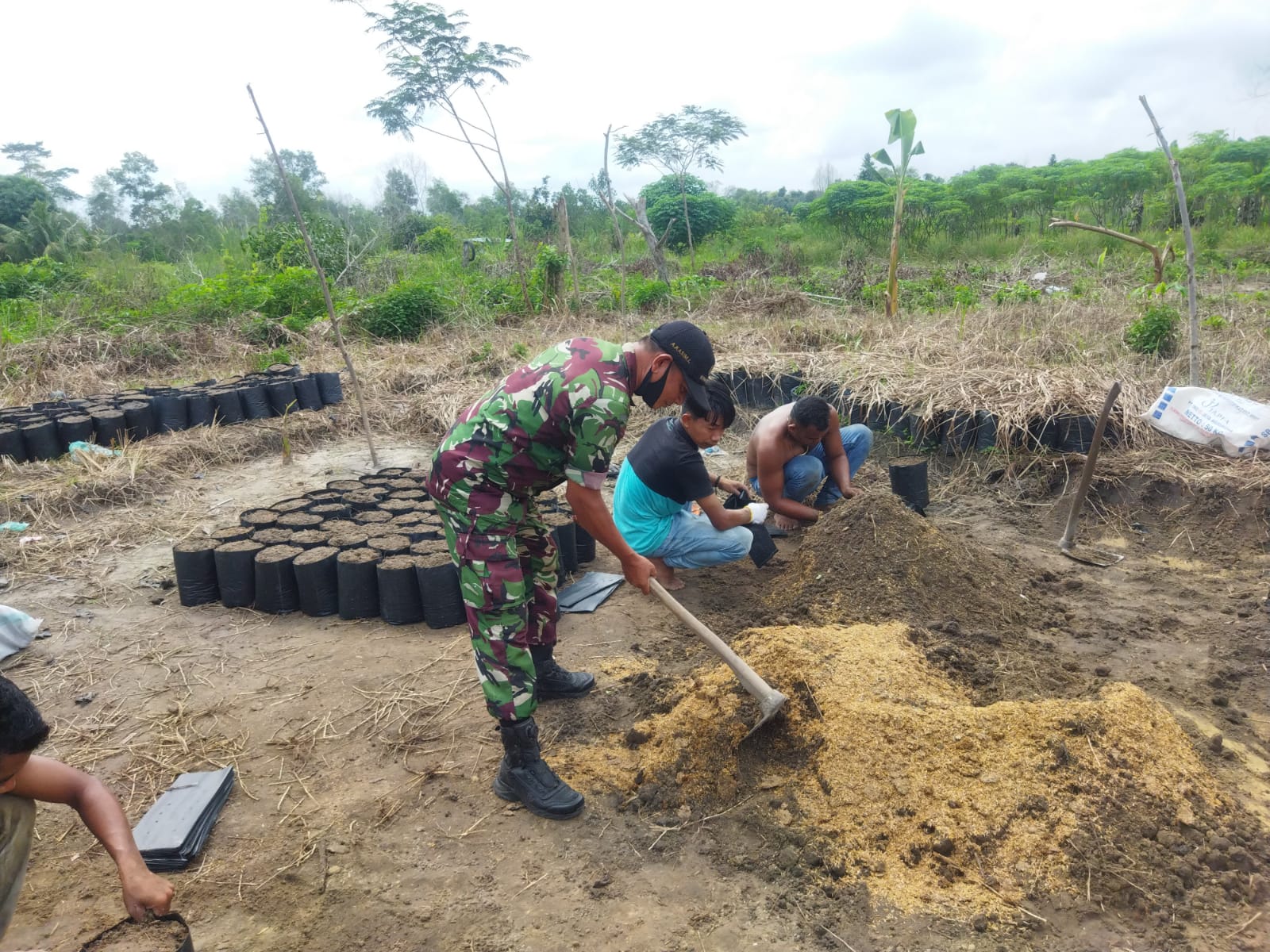 Sertu Abu Kasim Melaksanakan Pendampingan Kepada Petani Jagung dan Sosialisasikan Pencegahan Karhutl