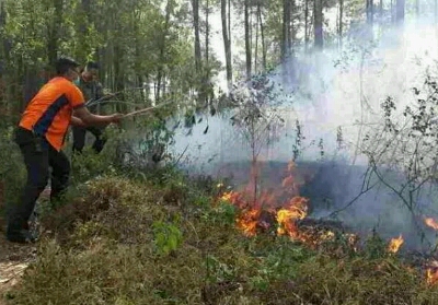 Karhutla Makin Meluas di Riau, Pemprov Minta Bantuan BNPB