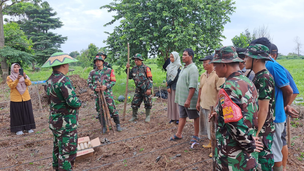 Danramil 01/Dumai Bersama Babinsa Tanam Padi Gogo di Lahan Pertamina