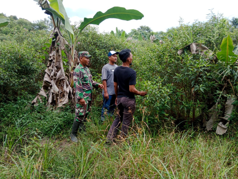 Giat Sosialisasi Oleh Serda Bambang Irwanto