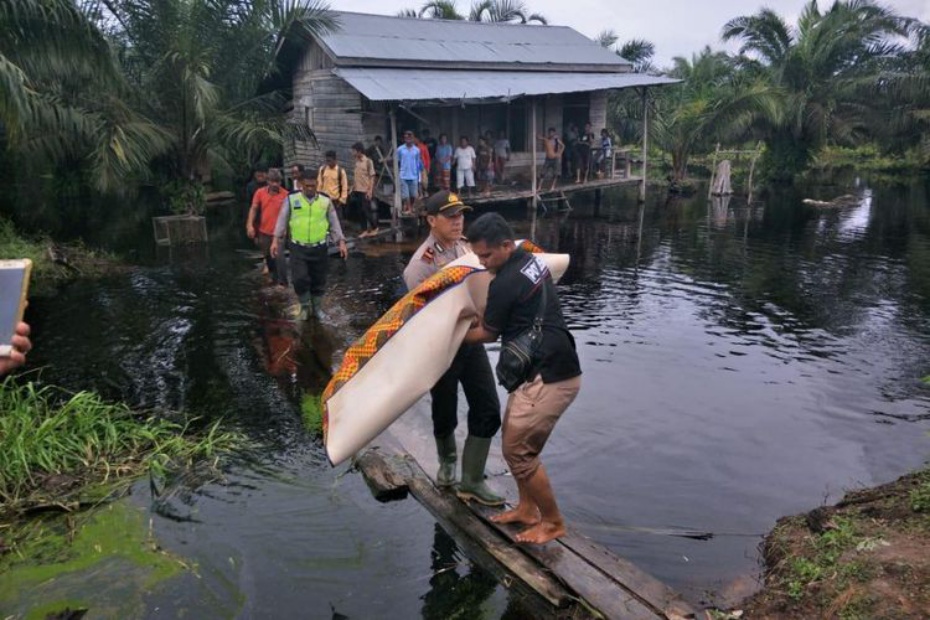 Bocah Ini Tewas Diterkam Buaya Saat Mandi Banjir di Depan Rumah
