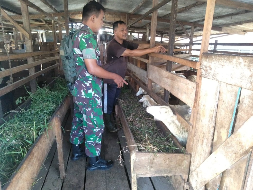 Kopda Togatorop Laksanakan Sosialisasi Pencegahan PMK