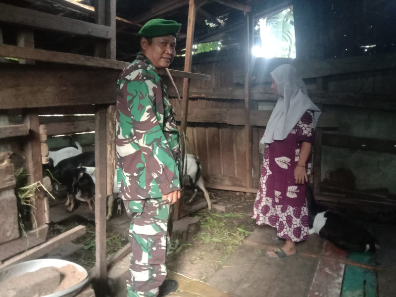 Babinsa Kelurahan Buluh Kasap Sosialisasikan Pencegahan PMK di Dumai Timur