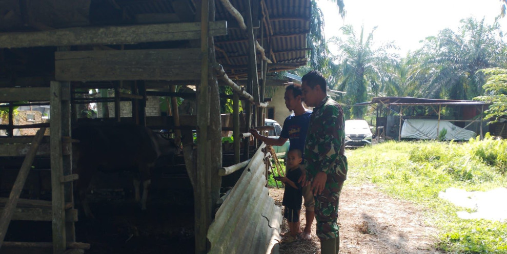 Giat Cegah PMK Dilakukan Oleh Serma Novrianto