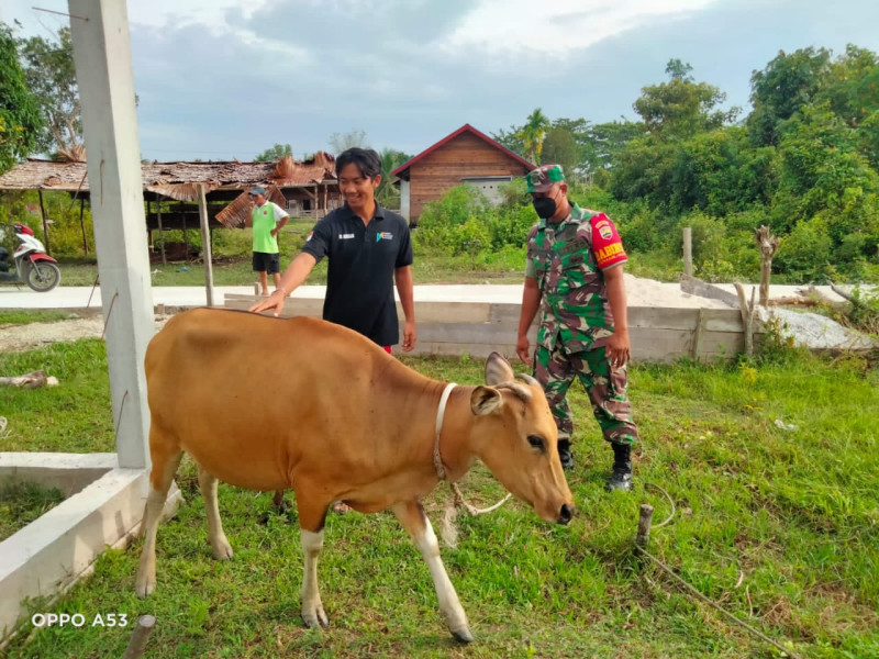 Serda Ansari Laksanakan Pencegahan PMK