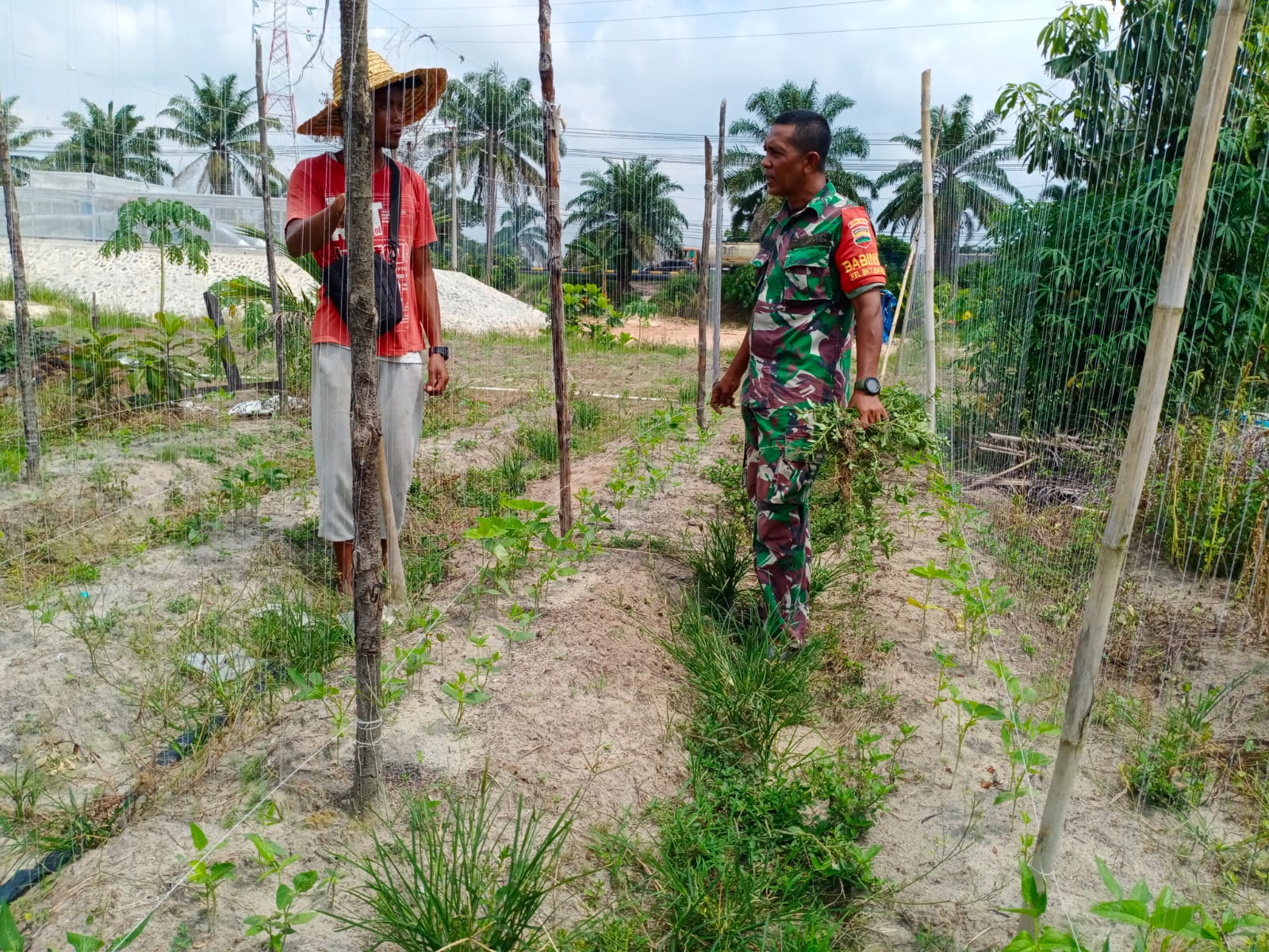 Serma Azman Beri Pengarahan ke Petani Mentimun dan Selada