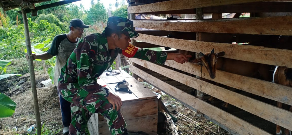 Serda Chanro Jaya Silalahi Laksanakan Sosialisasi Cegah PMK