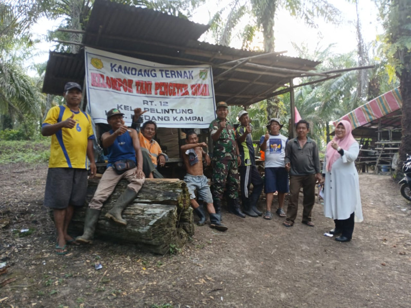Pendampingan Babinsa di Kelompok Tani Pengetek Indah Fokus pada Kesehatan Ternak