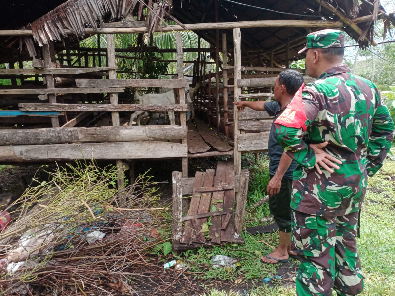 Pengecekan Hewan Oleh Serda Ansari