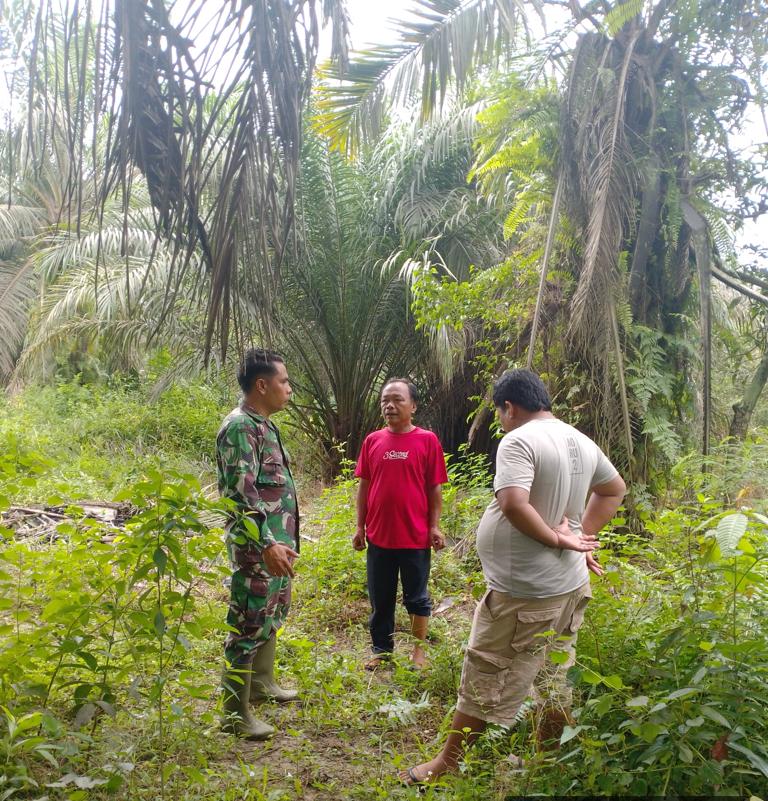 Pencegahan Terjadinya Bahaya Karhutla Dilaksanakan Babinsa Serma Nofrianto