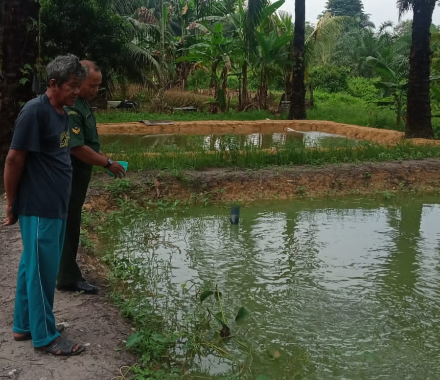 Babinsa Bagan Besar Sambangi Peternak Ikan Air Tawar