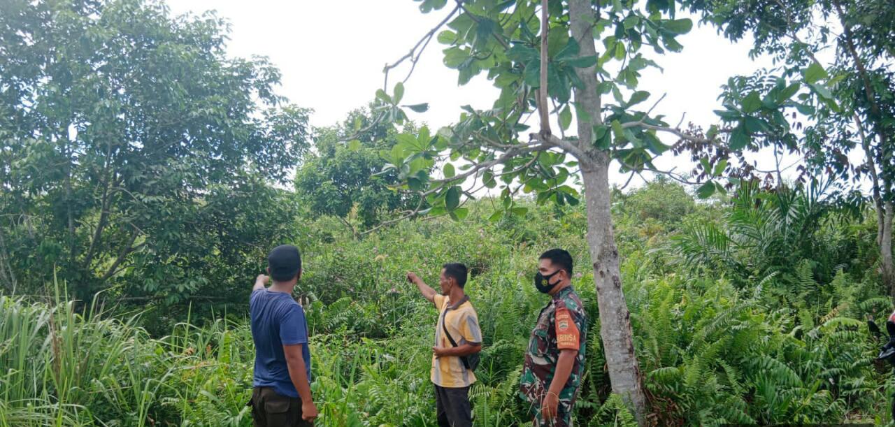 Giat Pencegahan Karhutla Oleh Sertu Mahyudin