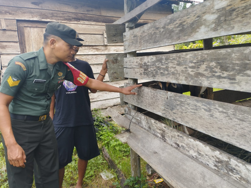 Cegah PMK, Serka Eri Efrianto Sambangi Peternak di Wilayah Binaannya