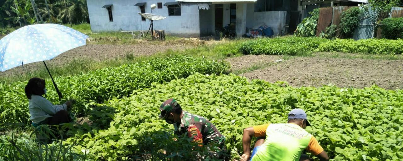 Serda Boby Rahman Lakukan Sosialisasi Pencegahan Karhutla dan Pendampingan