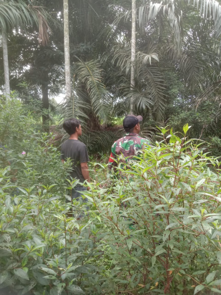 Pelaksanaan Patroli Sertu Afnal di Beberapa Titik Wilayah Binaannya