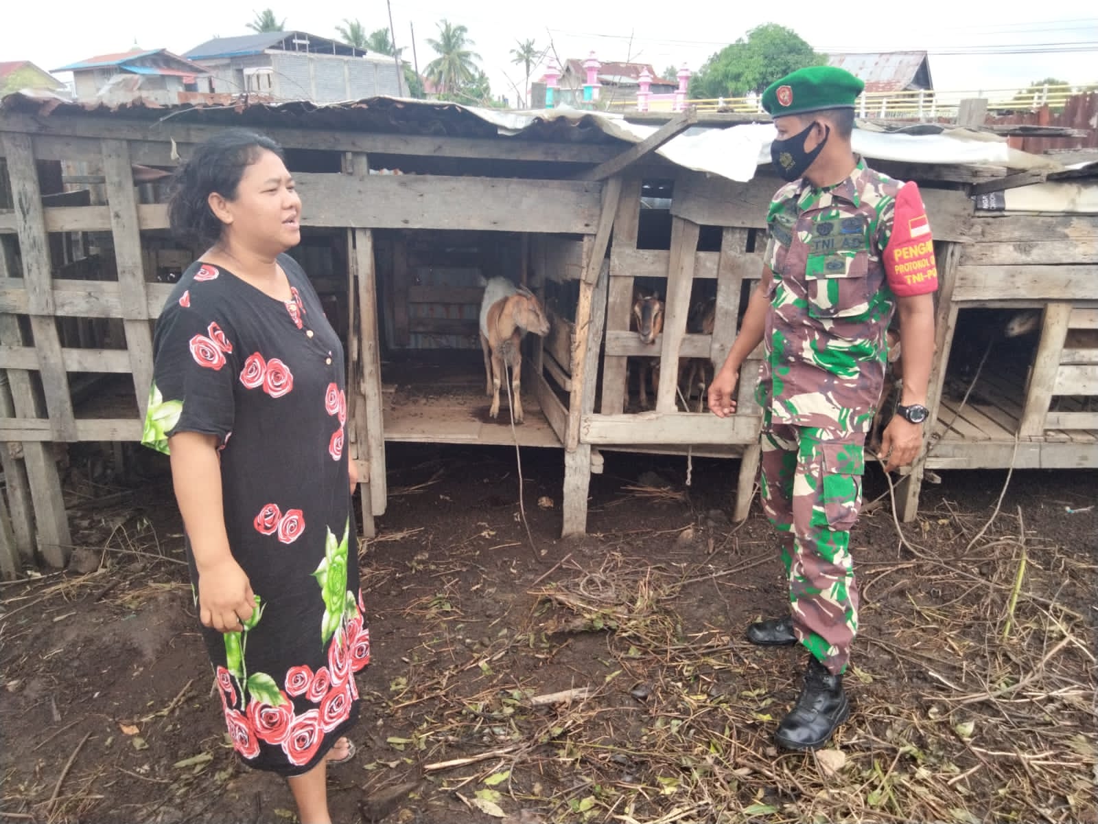 Peternak Ini Dapat Bimbingan Dari Sertu Sugianto