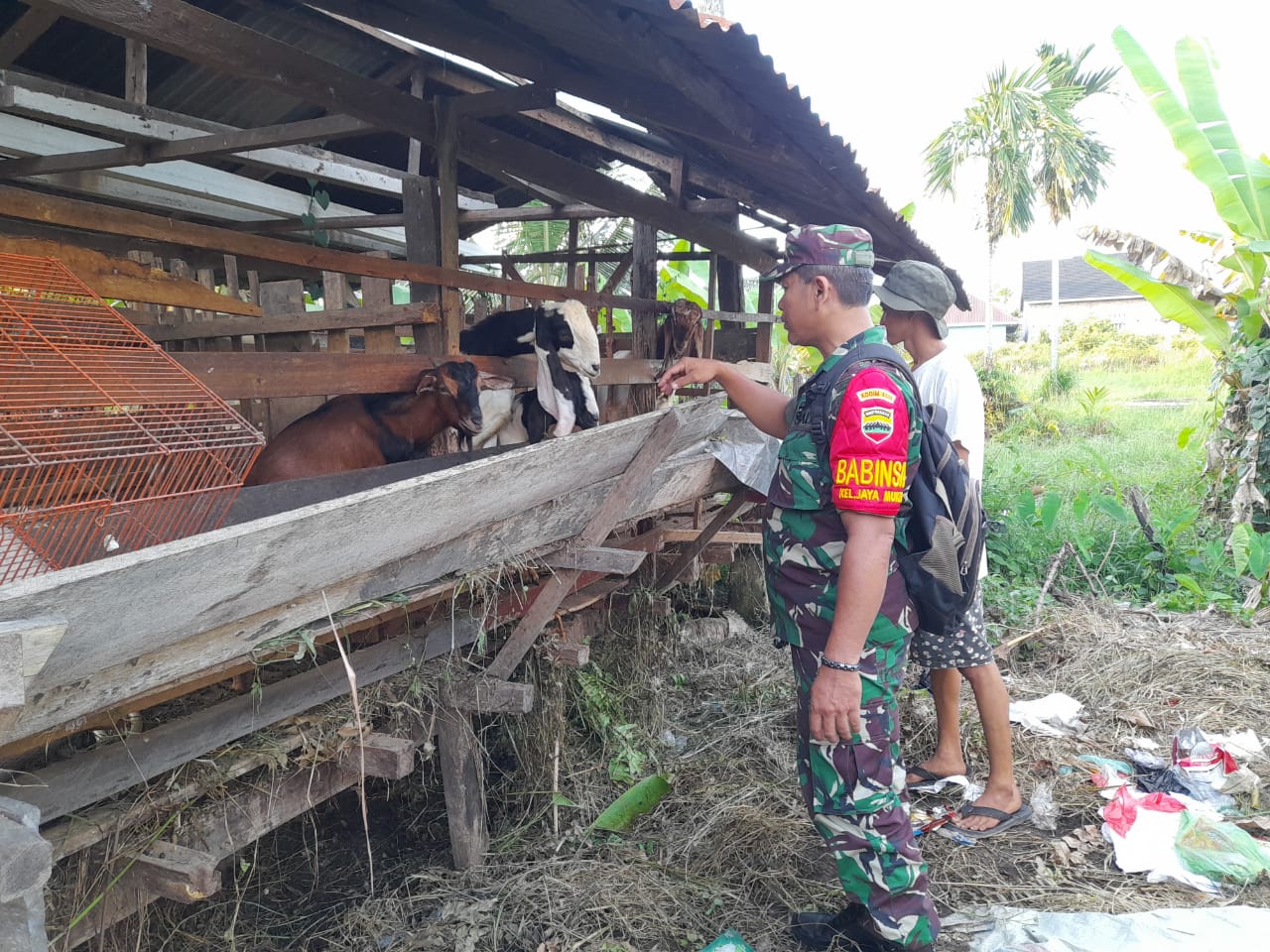 Babinsa Jaya Mukti Laksanakan Sosialisasi Pencegahan PMK