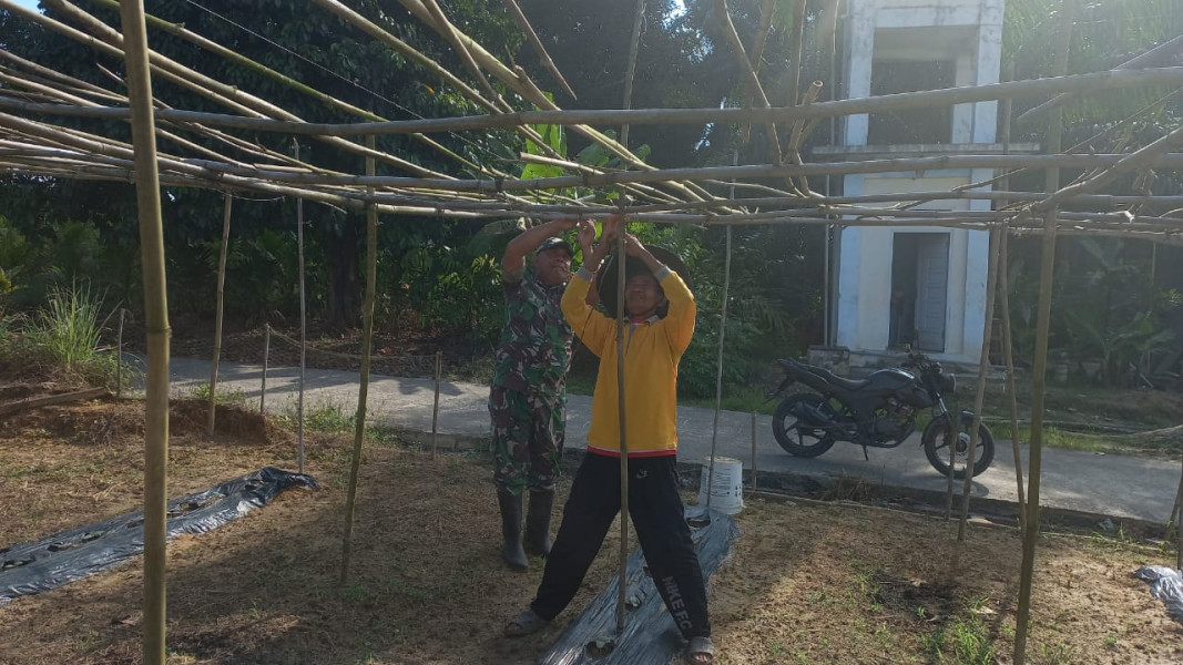 Serda Roni Sandra Laksanakan Kegiatan Karya Nyata Pendampingan Ketahanan dengan Fokus Pada Tanaman Gambas