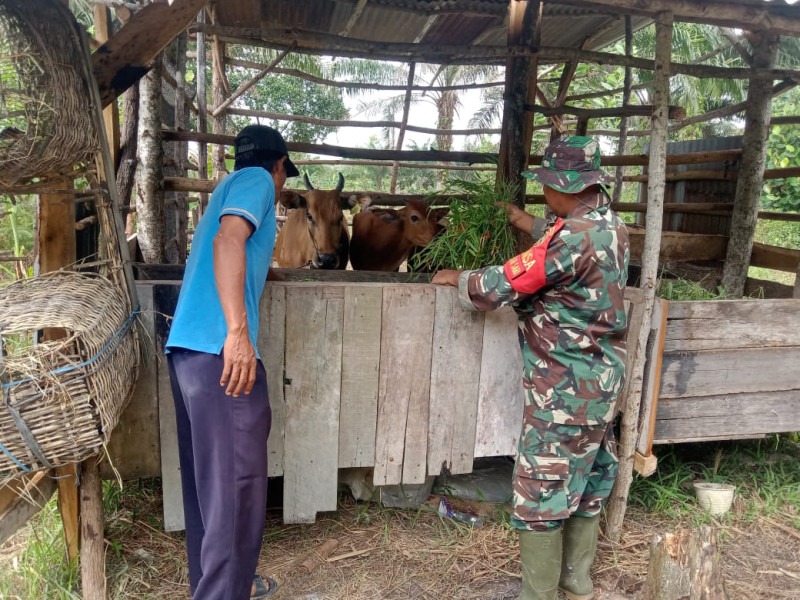 Serka Suandi Berikan Pendampingan Kepada Masyarakat dan Peternak Untuk Mengenal Apa Itu PMK