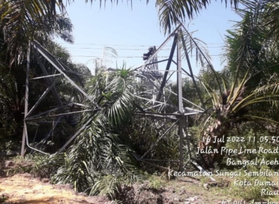 Listrik Padam, PLN Bagansiapiapi Minta Maaf Kepada Seluruh Pelanggan