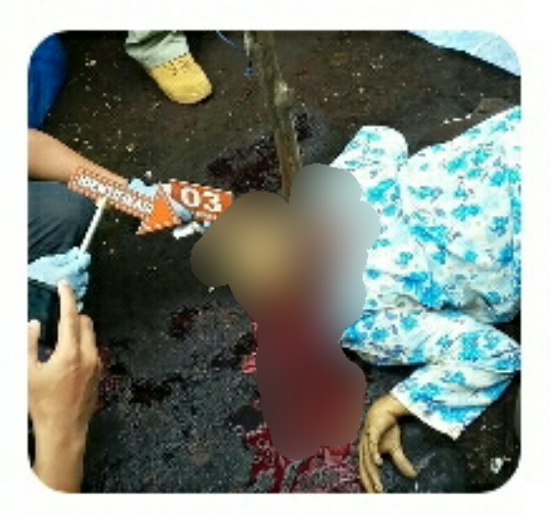 Miris...!!! Karena Kesal, Keponakan di Inhil Tebas Leher Tante Hingga Tewas