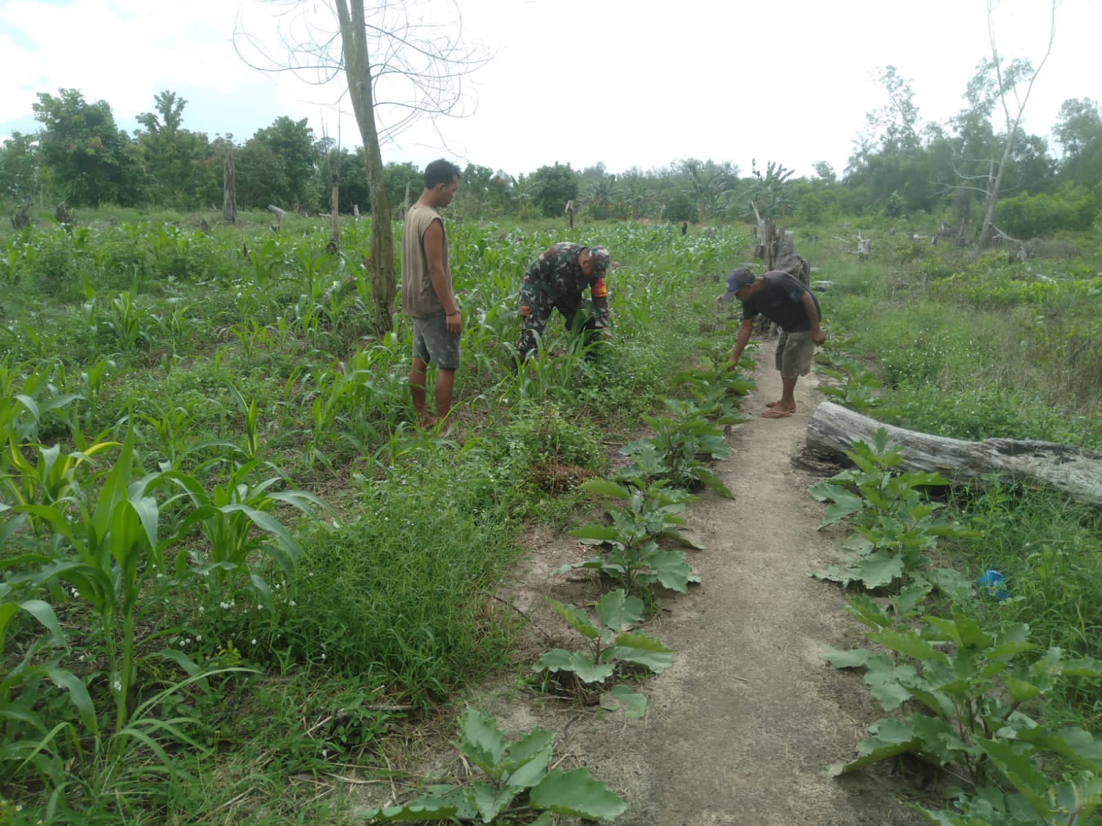 Serka Fahrizal Purba Dampingi Petani dan Sosialisasikan Pencegahan Karhutla