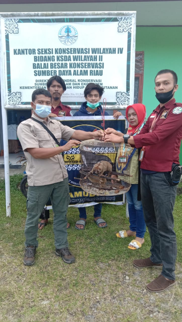 Komunitas SAMUDRA Dumai Selamatkan Dua Ekor Kukang