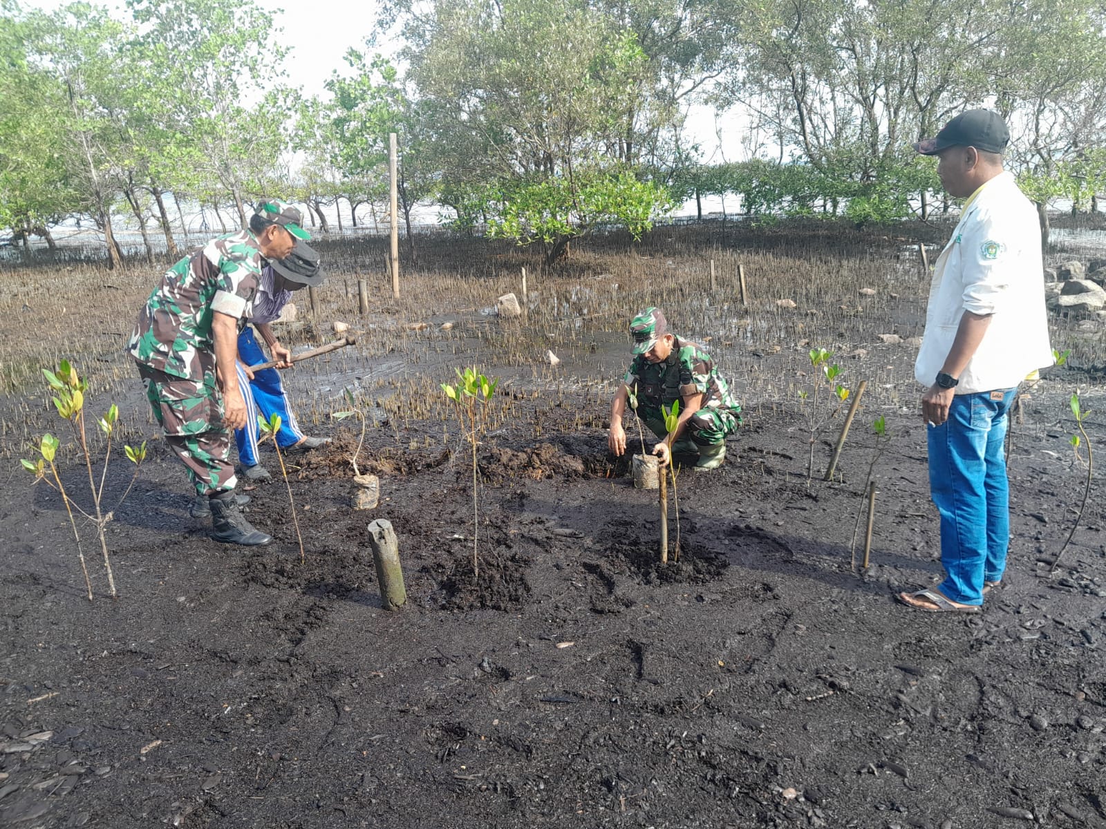 Kapten Inf Syuar Hendri Bersama Babinsa Hadiri Giat Penanaman Sejuta Magrove