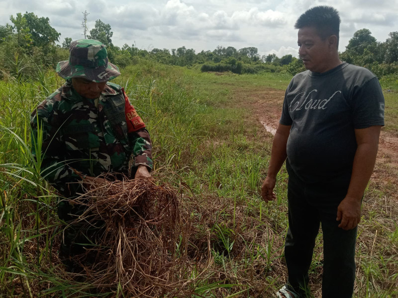 Serka Suandi Laksanakan Pengecekan Wilayah Dalam Rangka Mengantisipasi Bahaya Karhutla