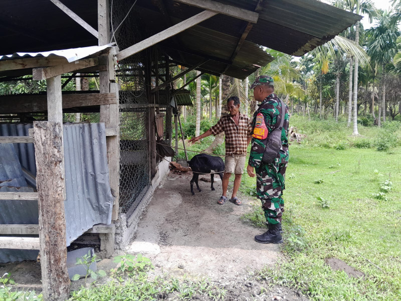 Serma Fahrizal Purba Berikan Sosialisasi Terkait Pencegahan PMK