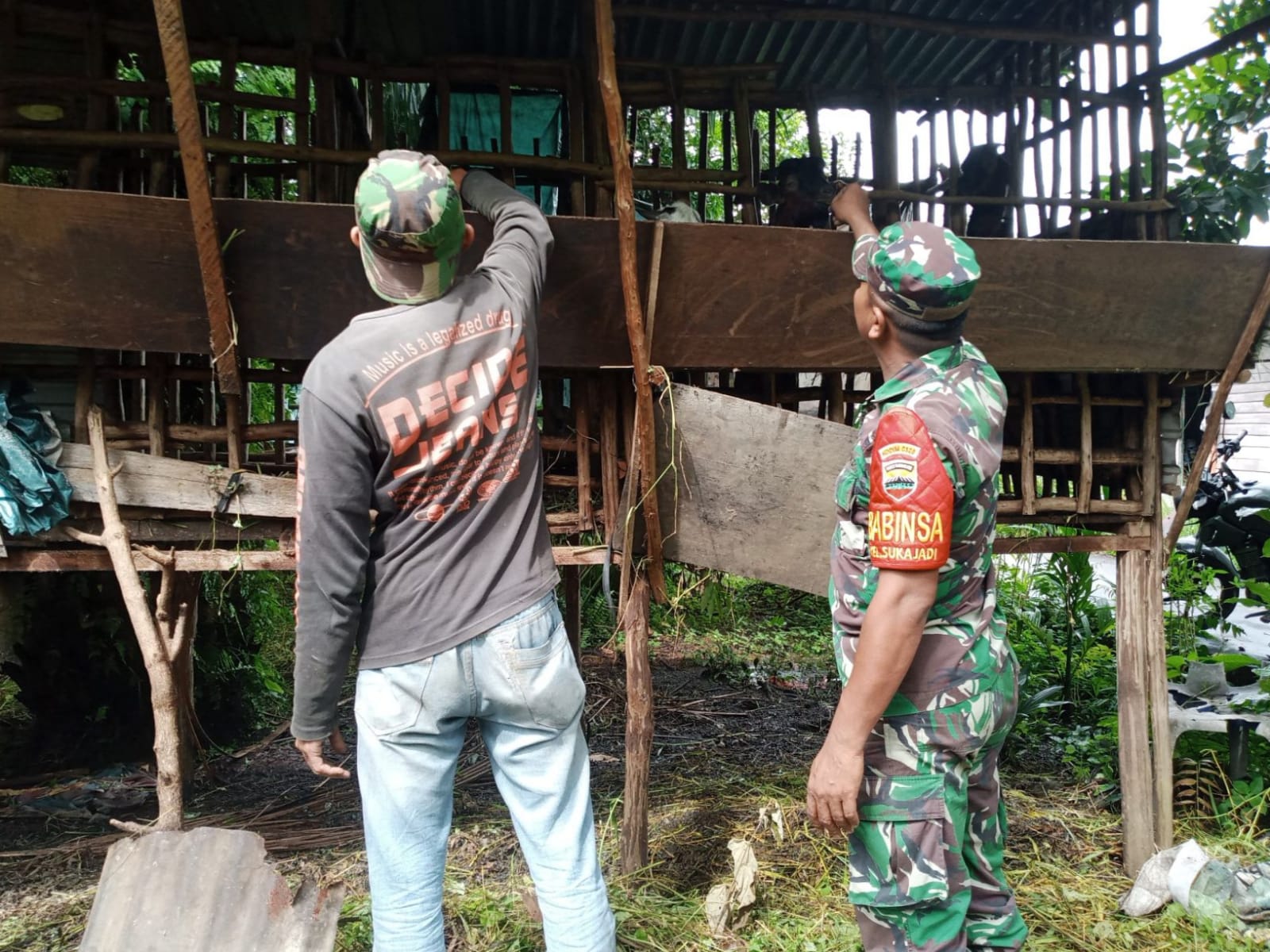 Pencegahan PMK Terus Dilaksanakan Oleh Serda Ahmad Junaidi di Wilayah Binaannya