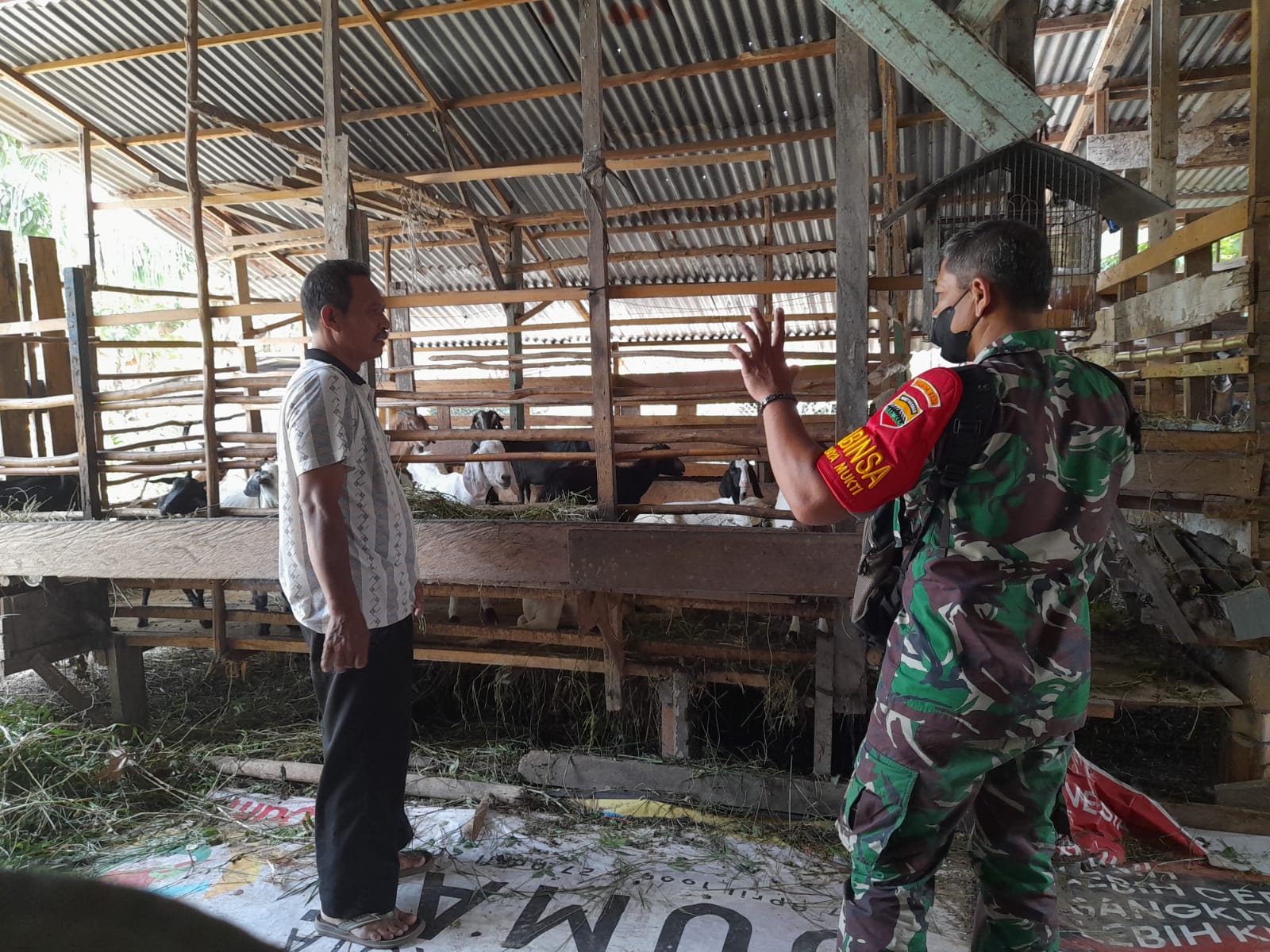 Pelda Sapi'i Laksanakan Sosialisasi Cegah PMK