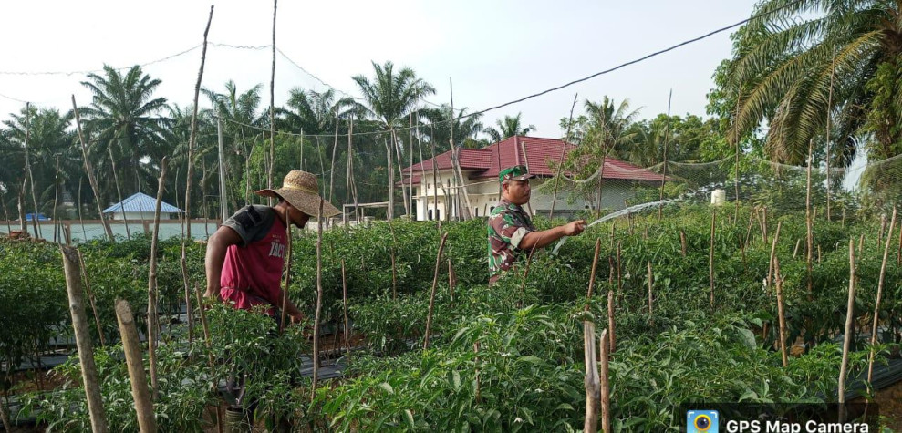 Anggota Koramil 02 Sambangi Petani Cabe