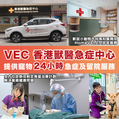 Veterinary Emergency Centre Luncurkan Layanan Darurat 24/7 dan Spesialisasi Pengobatan Internal Hewan Kecil serta Layanan HomeVet