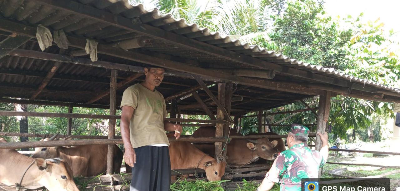 Serma Zul Efendi Berikan Edukasi Kepada Peternak