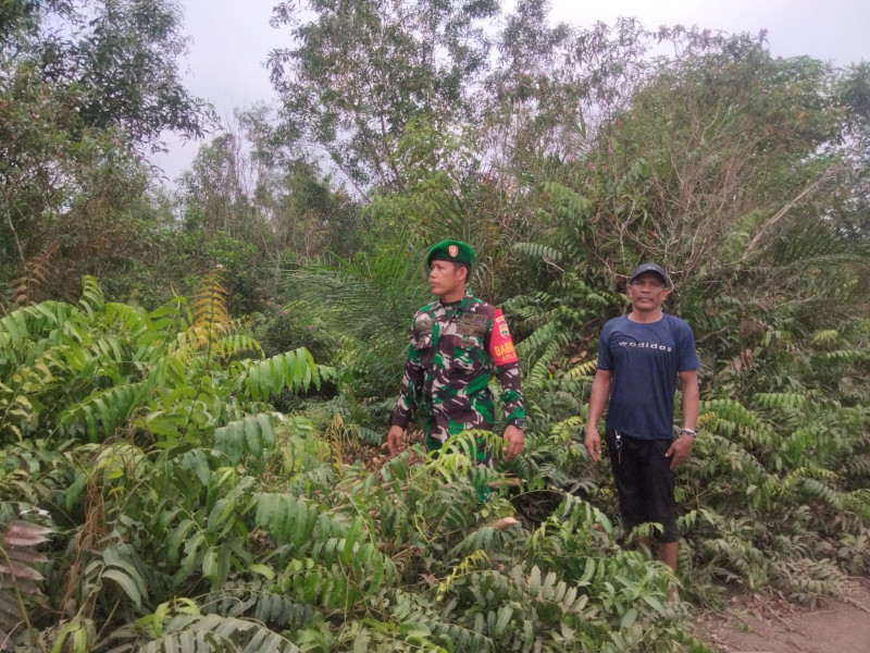 Babinsa Sertu Sugianto Intensifkan Patroli Karhutla di RT 3 Kelurahan STDI