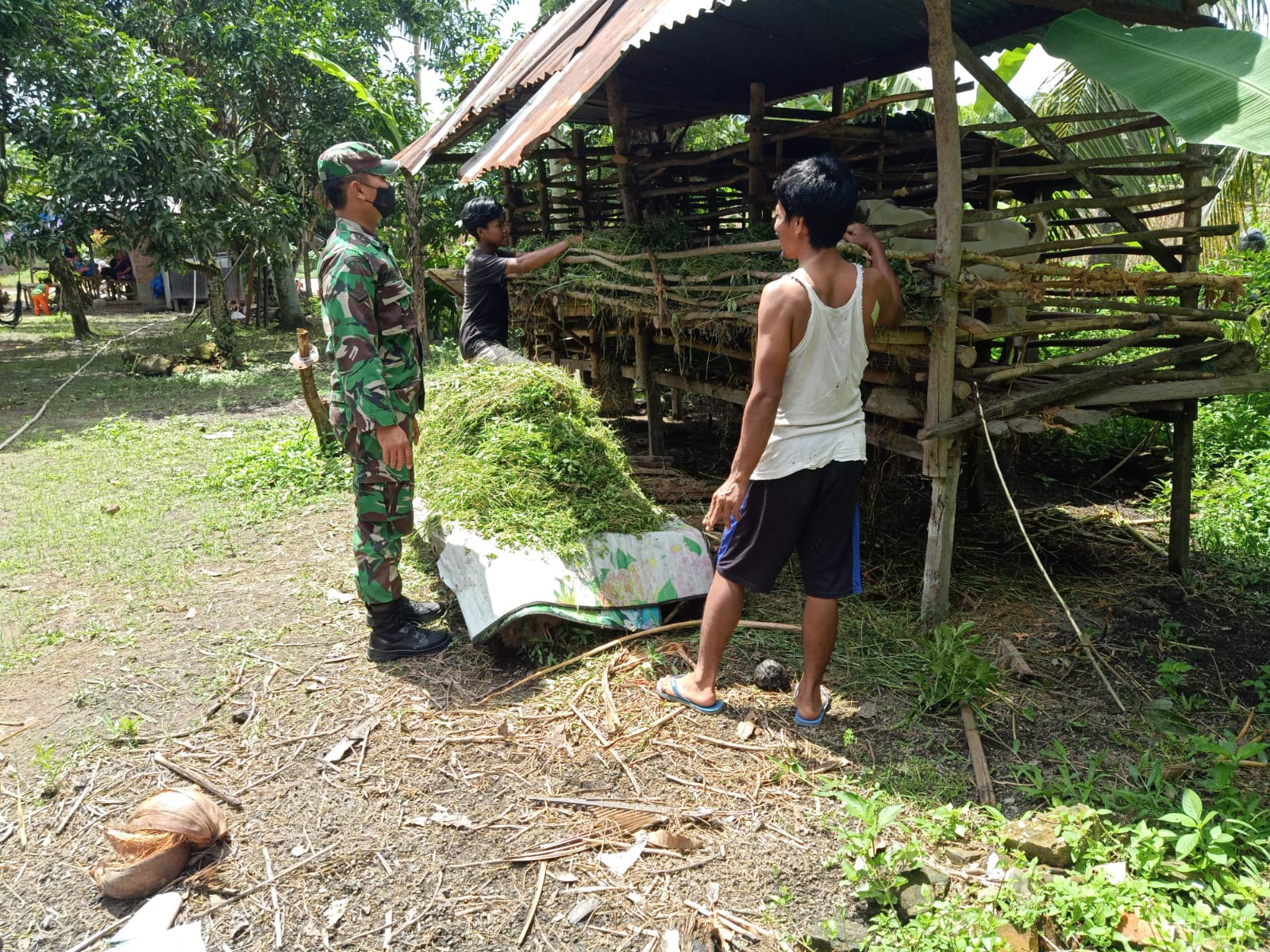 Datangi Peternak di Parit Sadak, Serda Boby Rahman Berikan Sosialisasi Cegah PMK