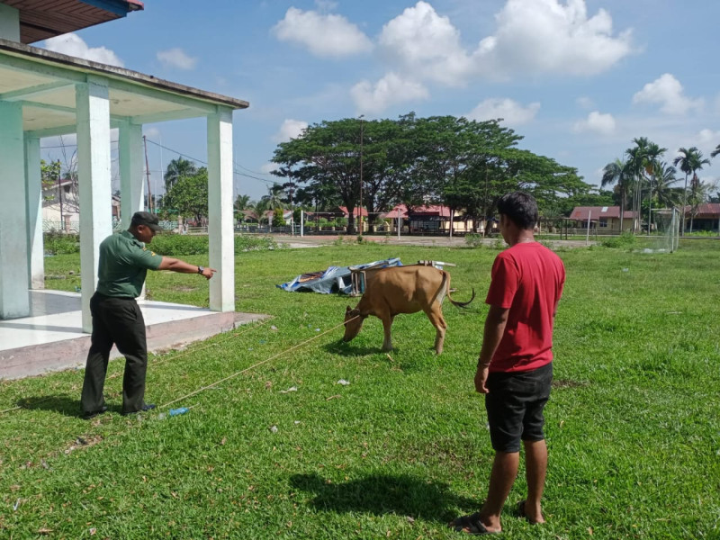 Serda Ansari Gencarkan Patroli Cegah PMK