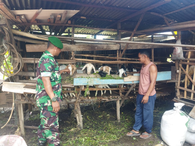 Sertu Abu Kosim Jelaskan Kepada Masyarakat Ciri-ciri PMK