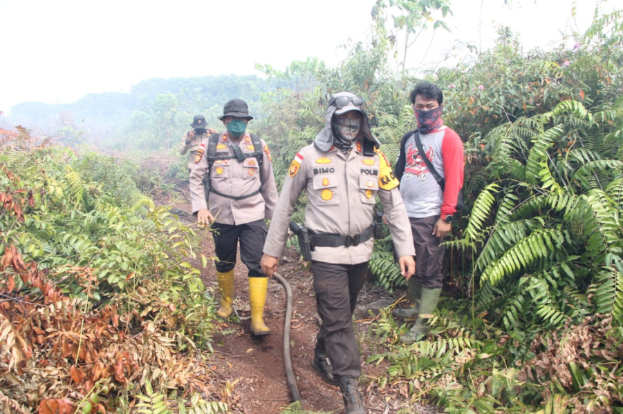 Tanpa Kenal Lelah Polres Bengkalis Padamkan Kebakaran Hutan di Rupat