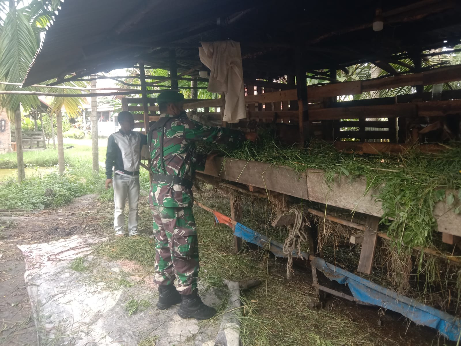 Serda Sahat Sinaga Laksanakan Giat Cegah PMK