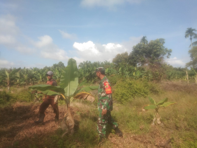 Sertu Ramli Susuri Wilayah Binaannya Untuk Melaksanakan Sosialisasi dan Patroli Cegah Karhutla