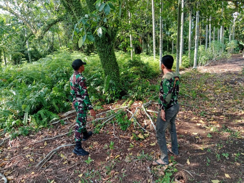 Waspadai Karhutla, Babinsa Tanjung Pisang Edukasi Warga dan Pastikan Tidak Ada Titik Api maupun Asap
