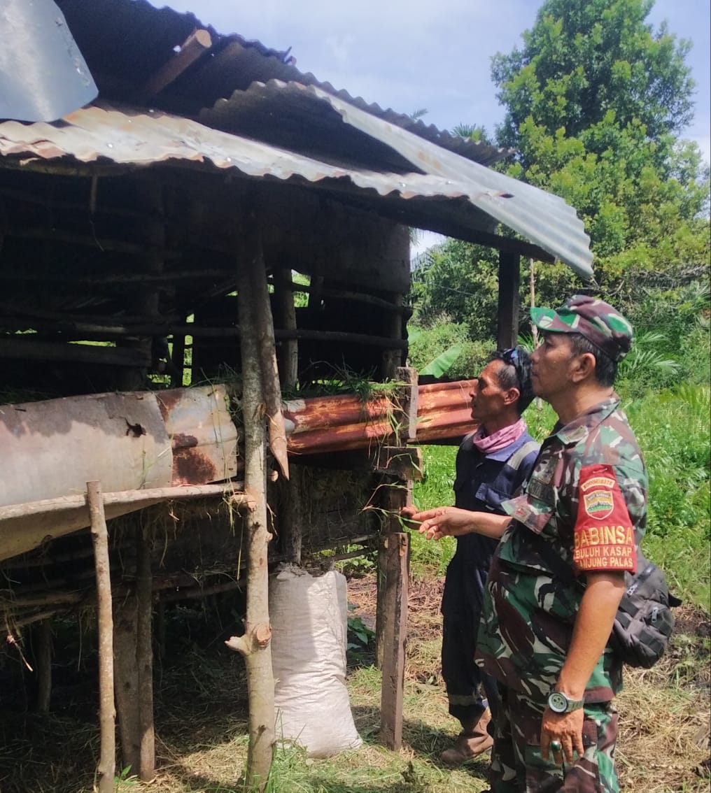 Peltu Wawan Sosialisasikan Pencegahan PMK